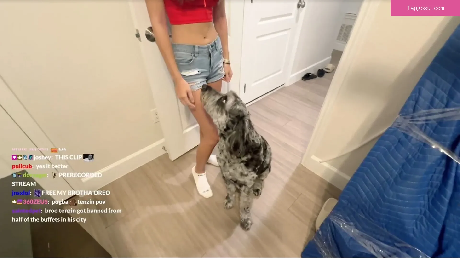 angelaoreo