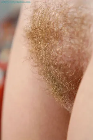 AbbyWinters content