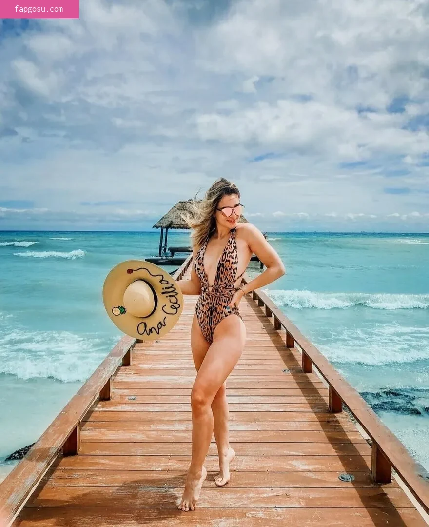 Ana Ceci Gonzalez / Anacecigz