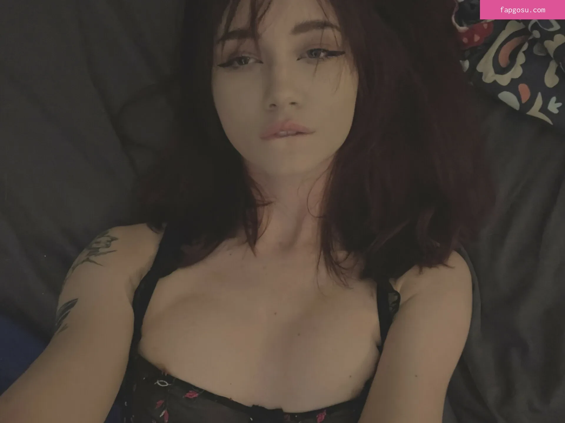 arina_gp