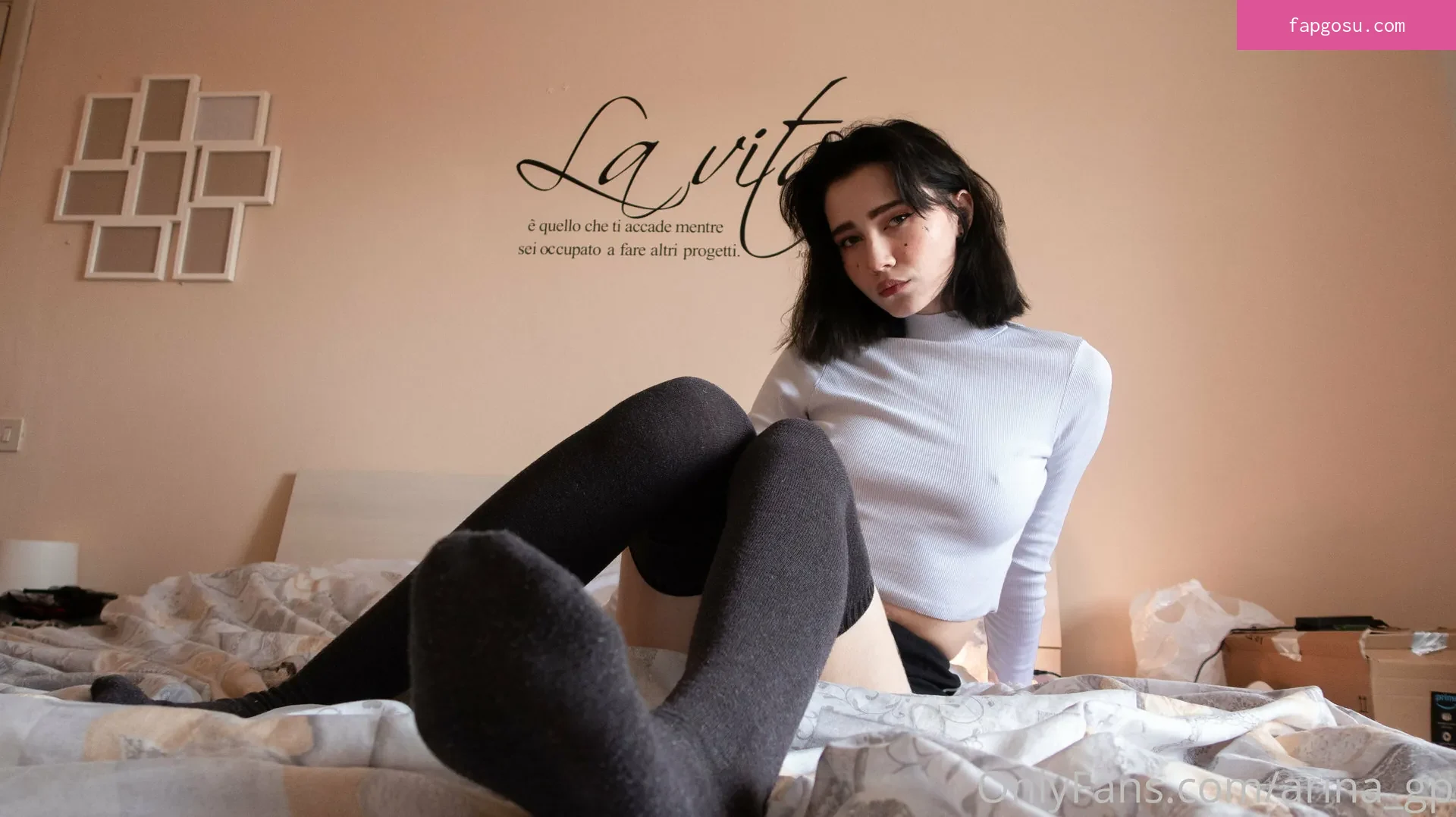 arina_gp
