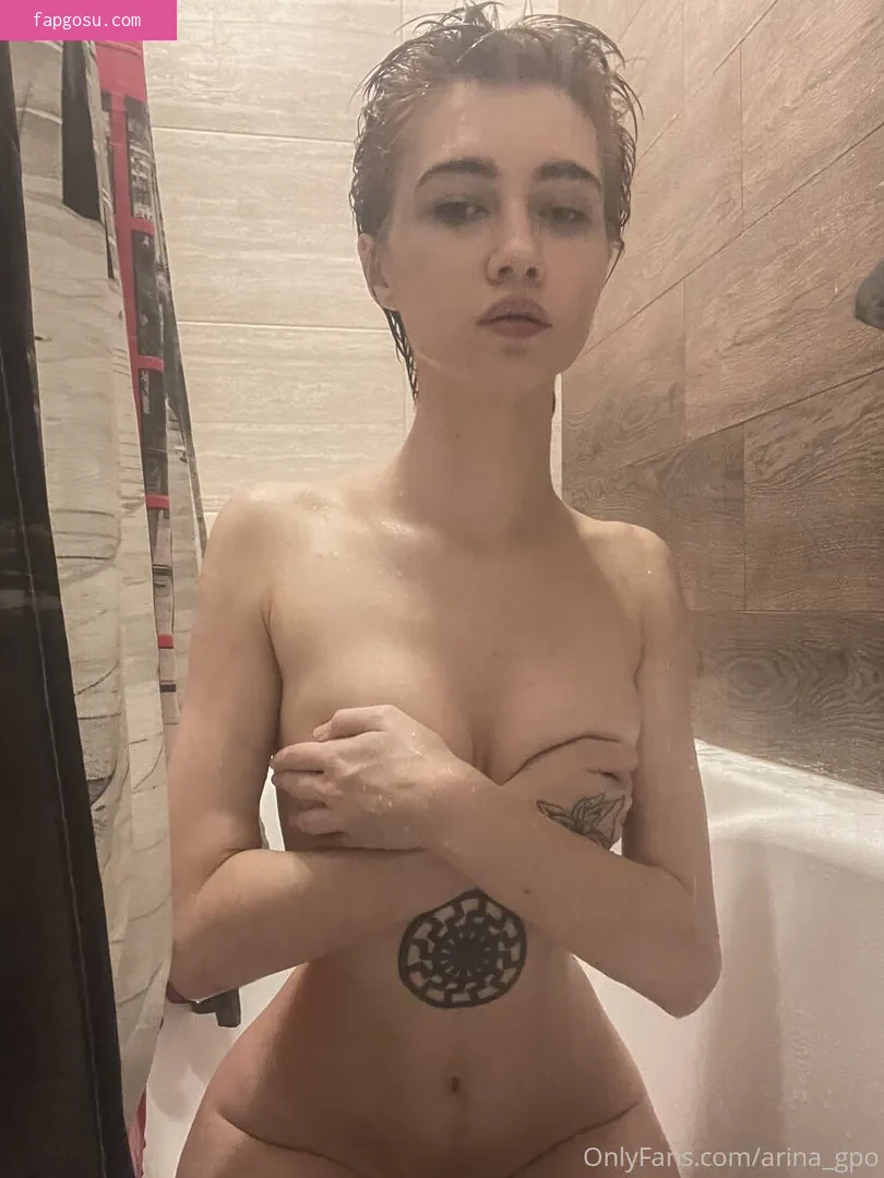 arina_gp