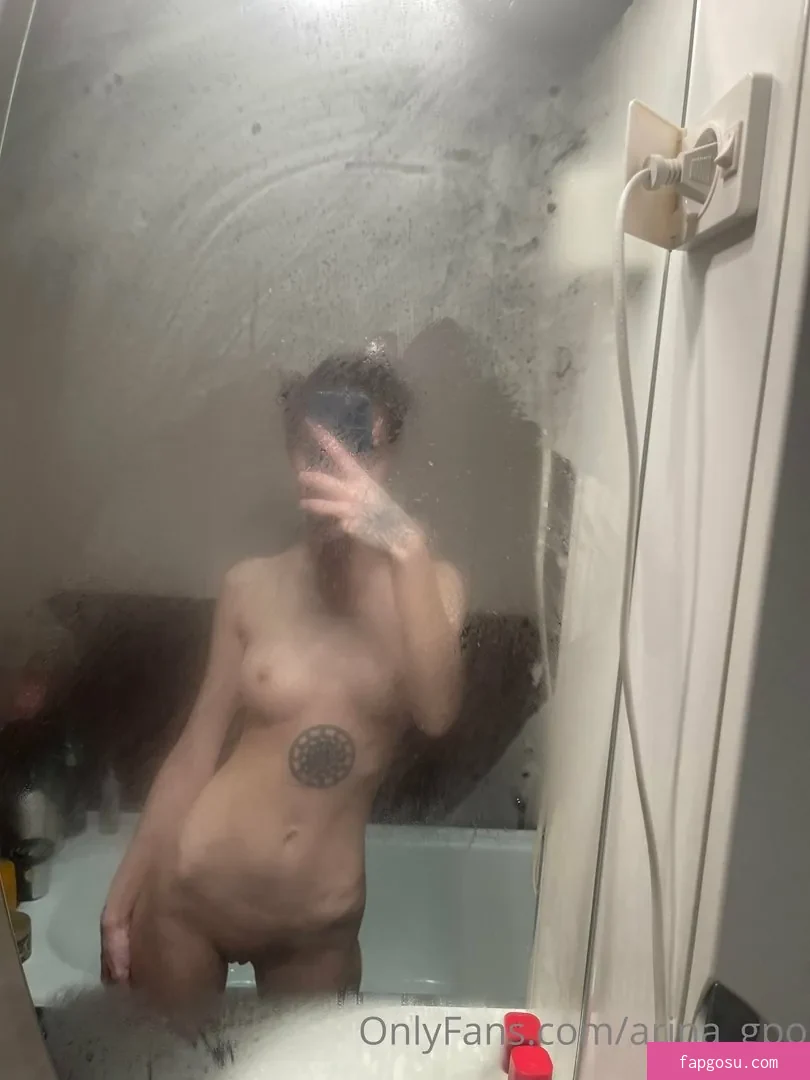 arina_gp