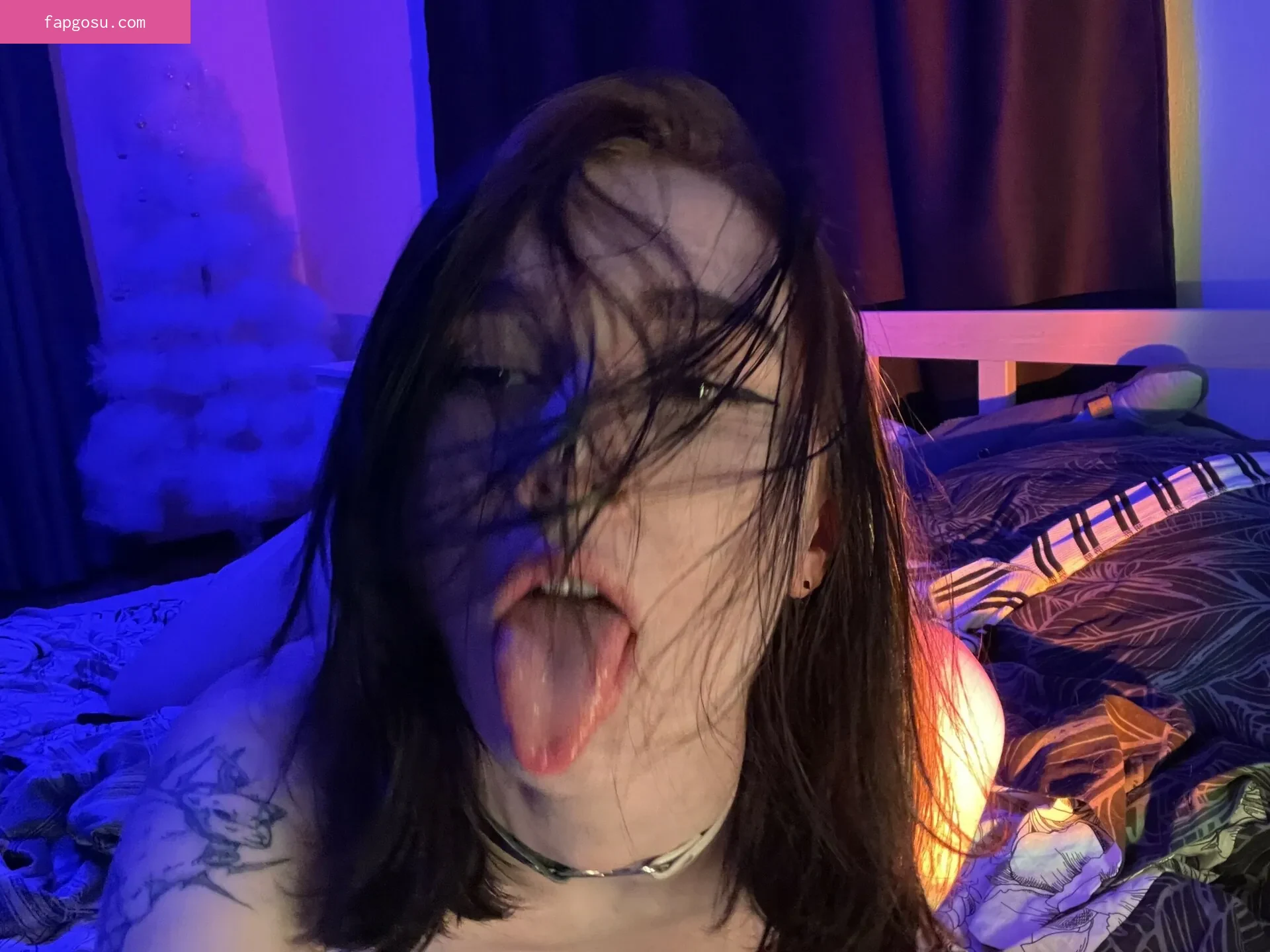 arina_gp