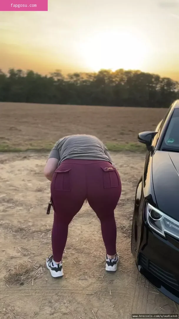 Audia3sb / helenaa.a3