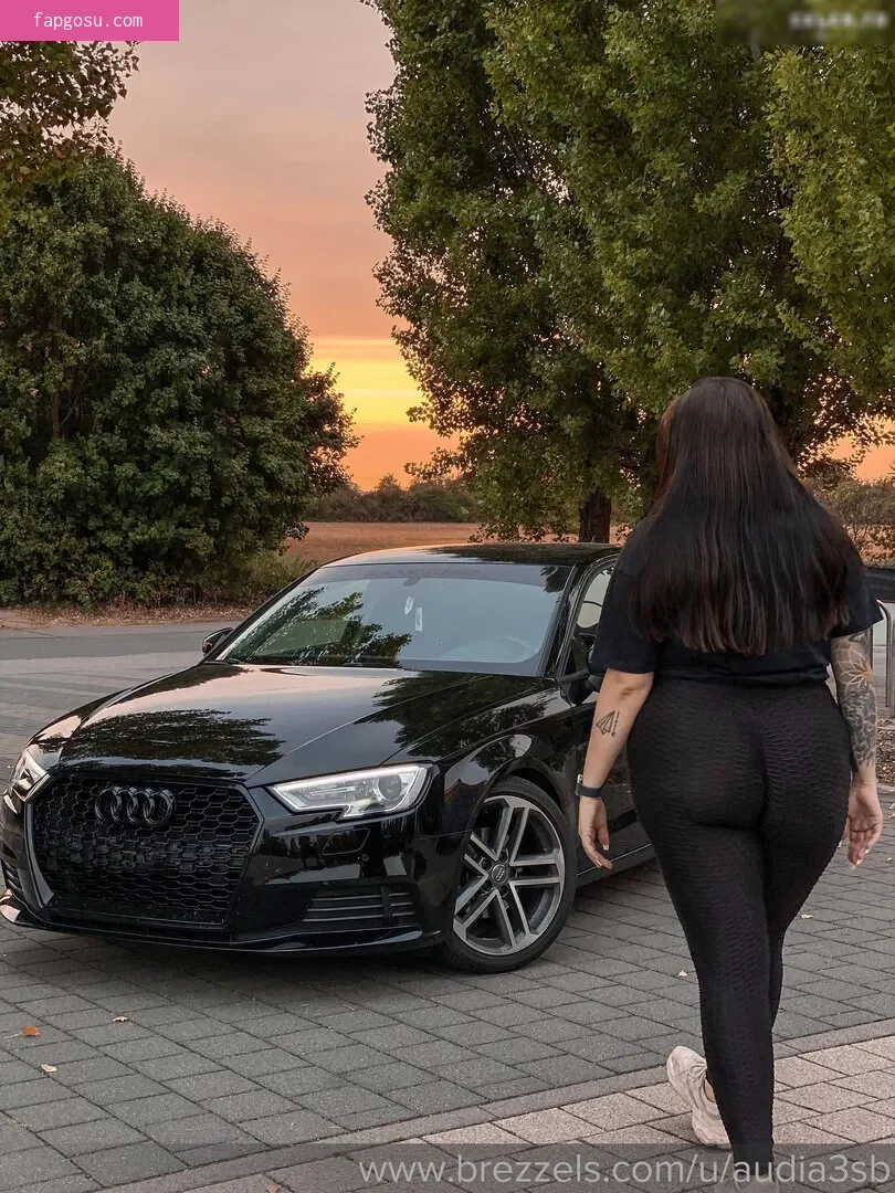 Audia3sb / helenaa.a3