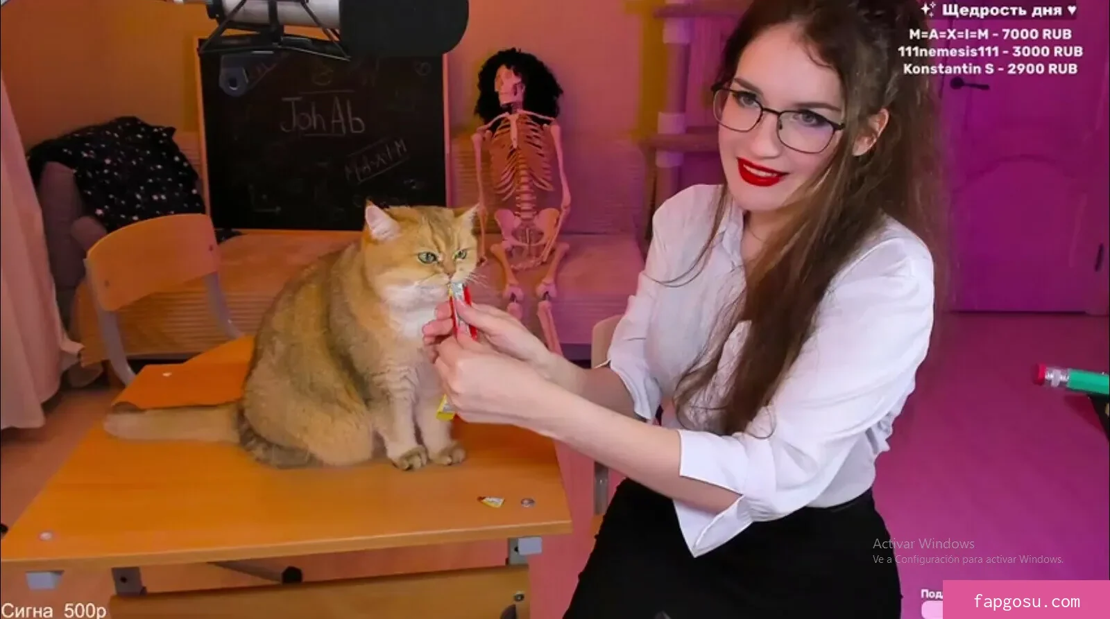 ASMR KittyKlaw