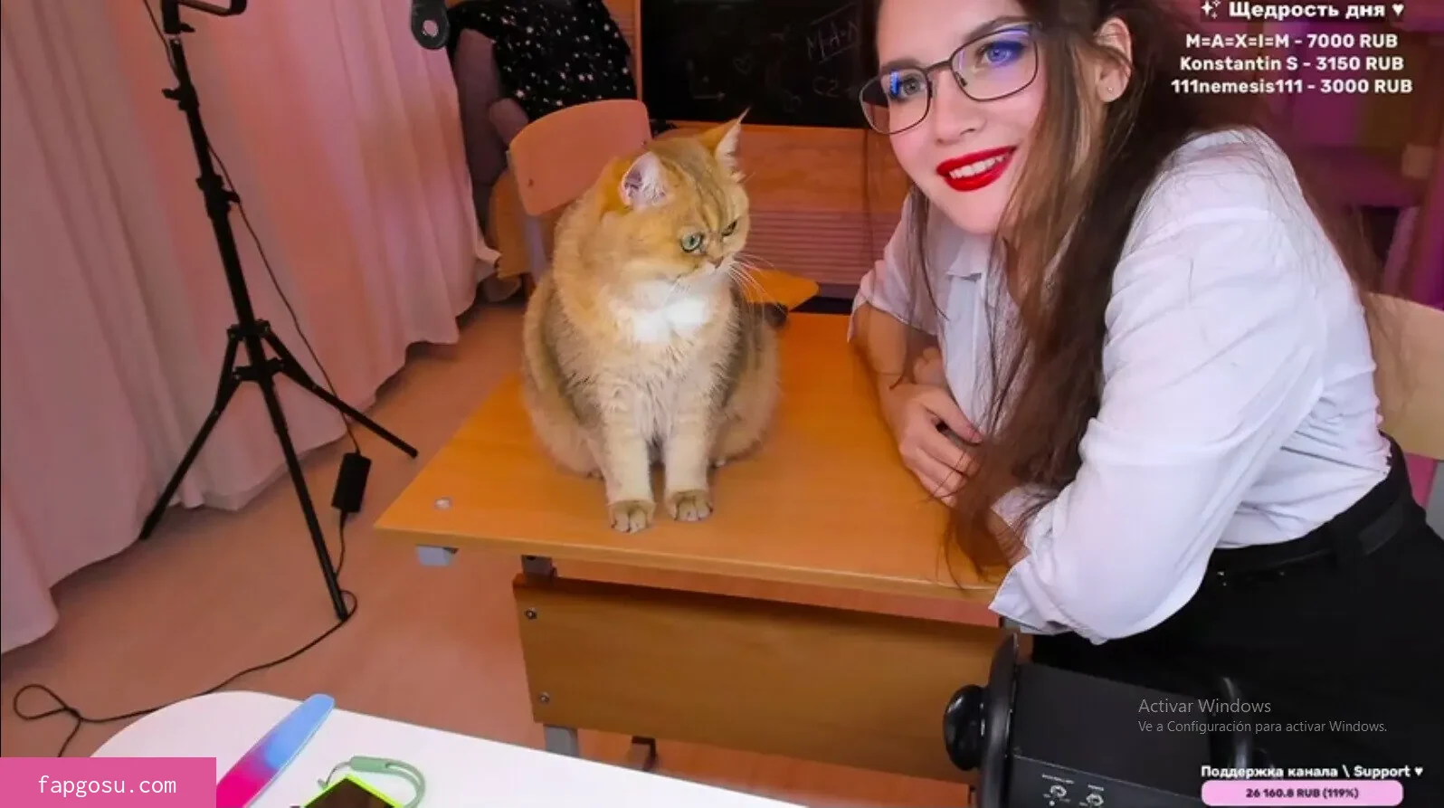 ASMR KittyKlaw