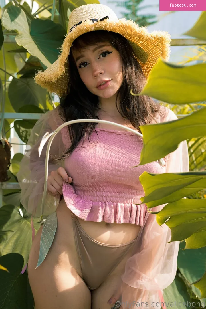 AliceBong - Photo #1539