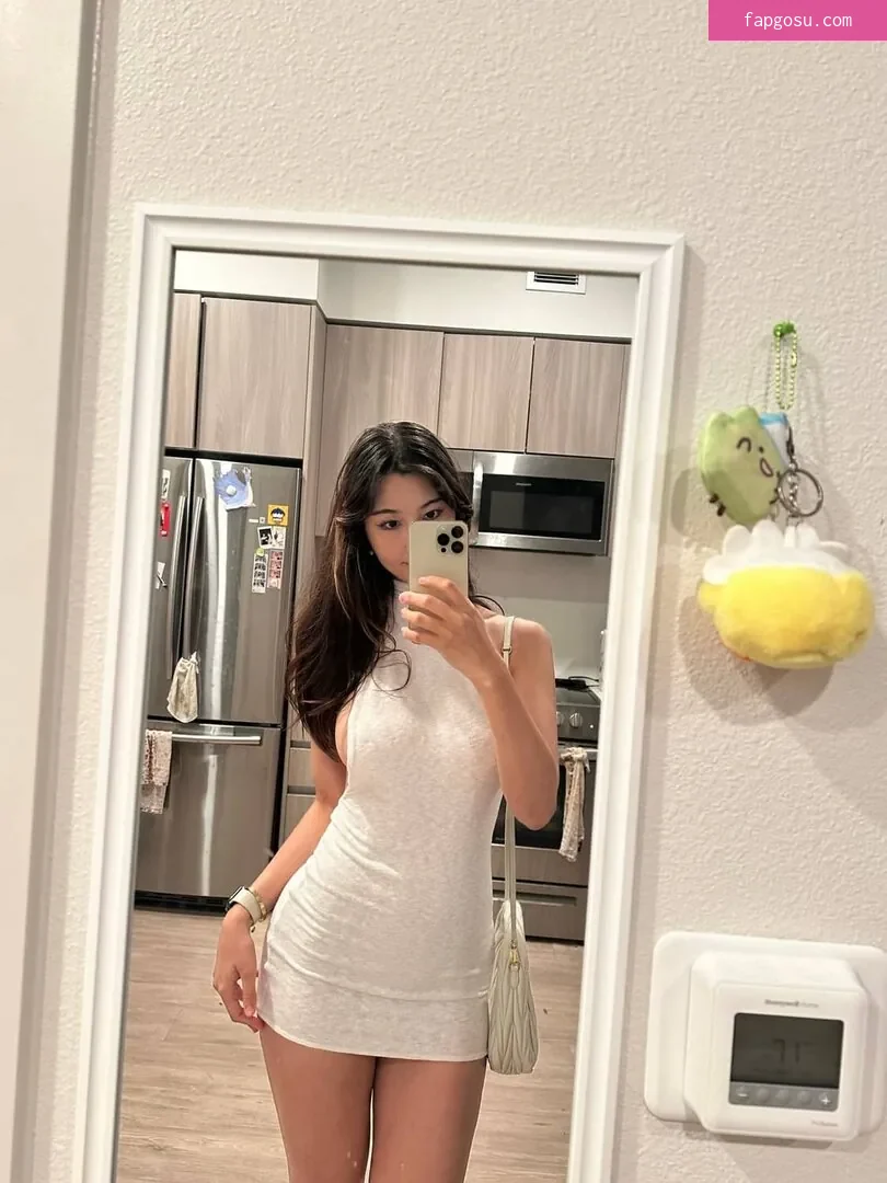 Amiechikin