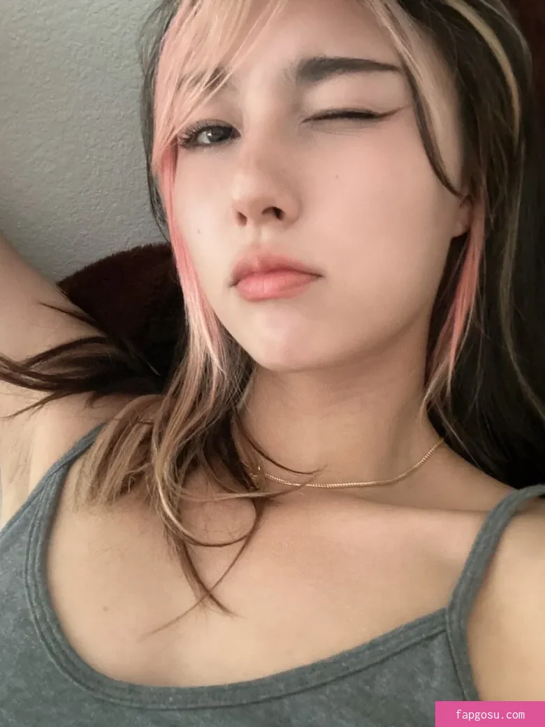 Amiechikin