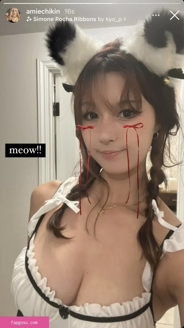 Amiechikin