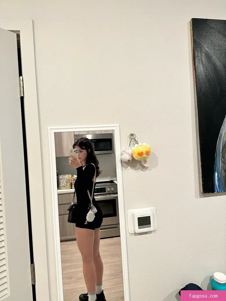 Amiechikin