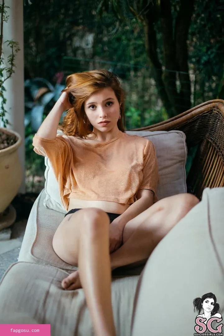 amyplacco
