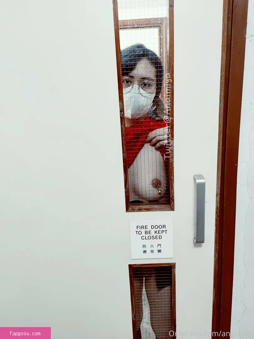 Anaimiya