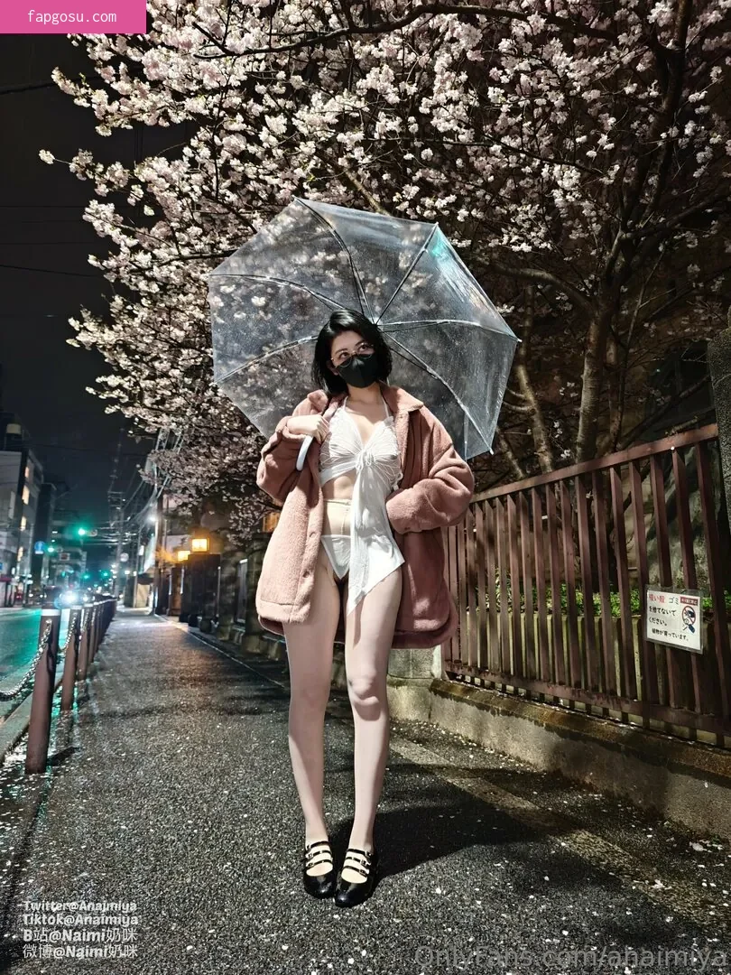 Anaimiya