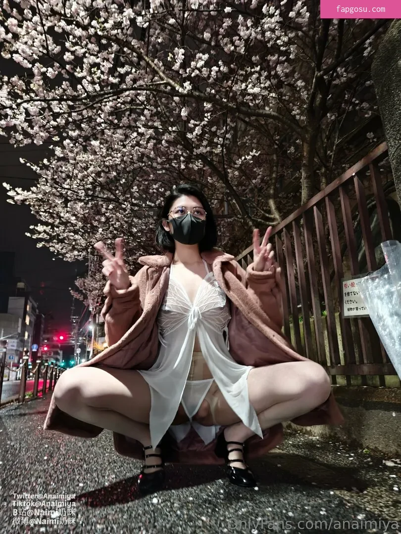Anaimiya
