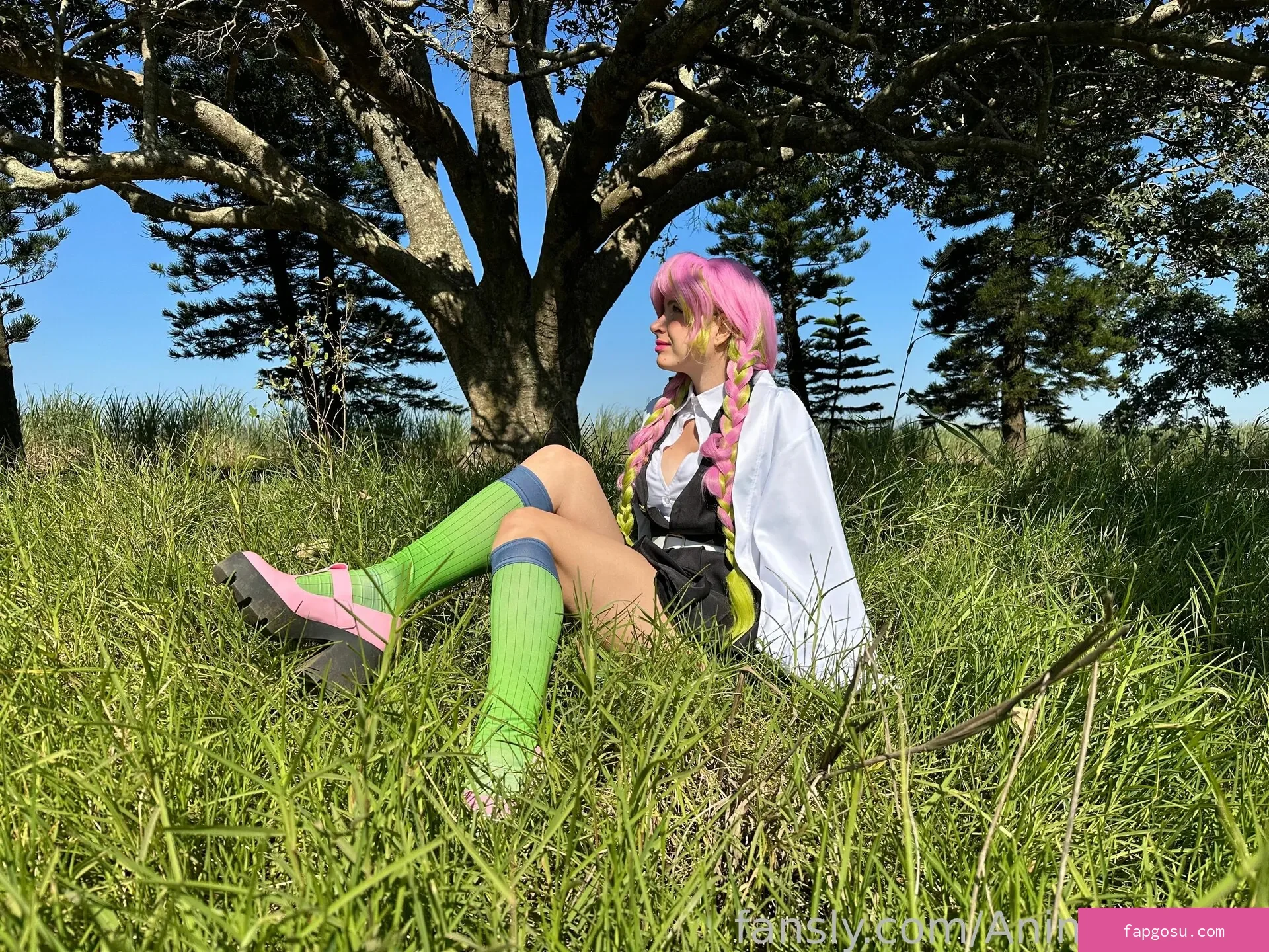 Animaechan