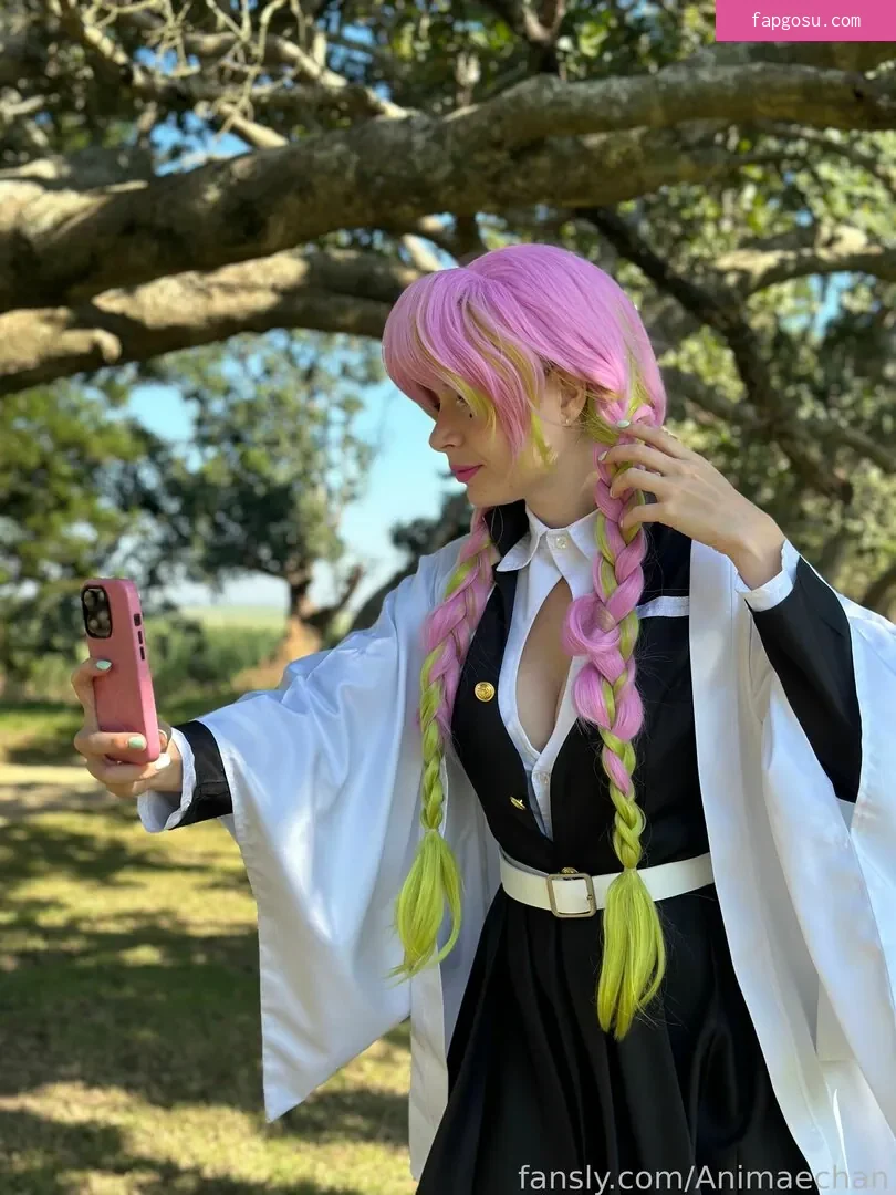 Animaechan
