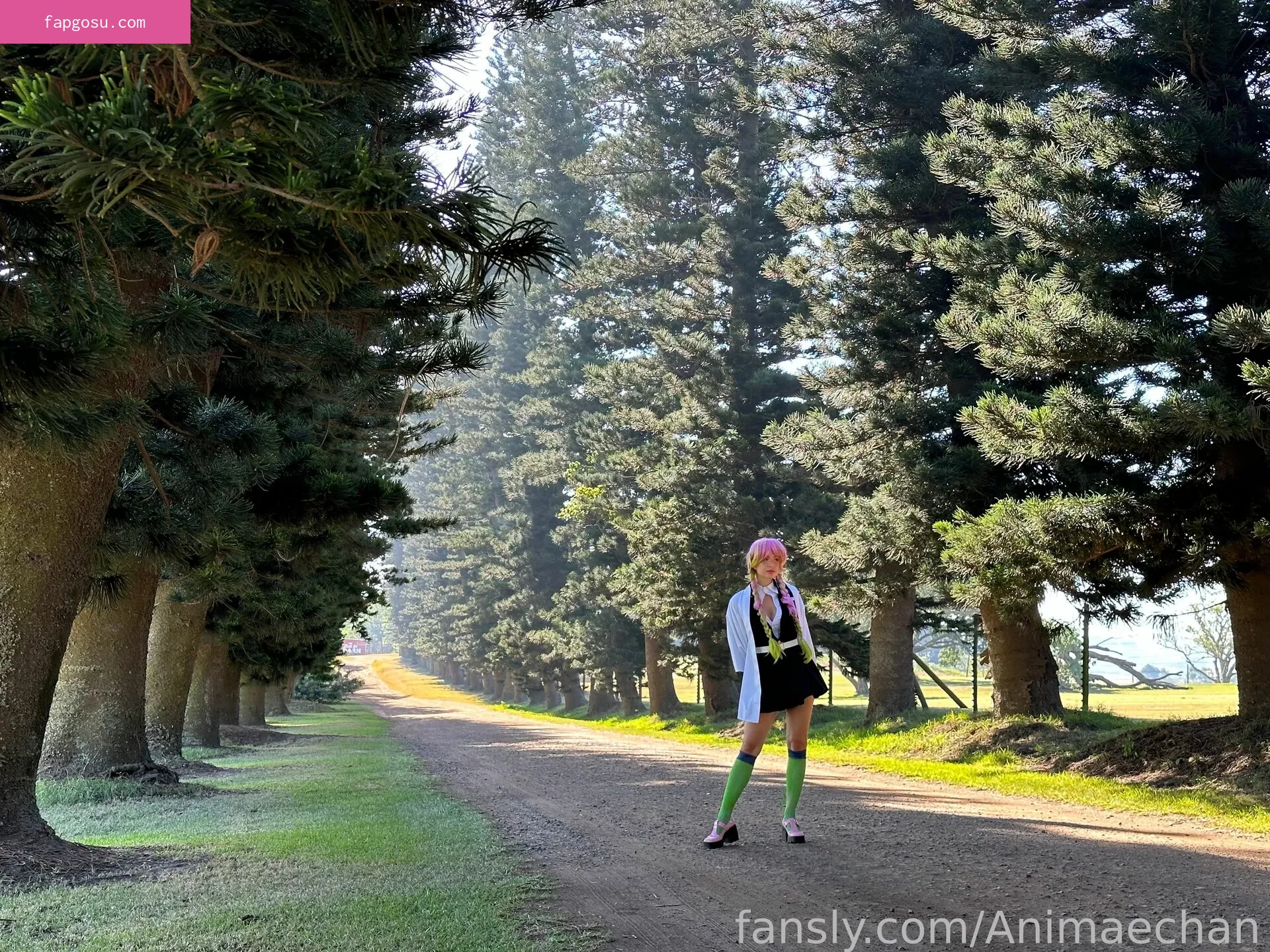 Animaechan