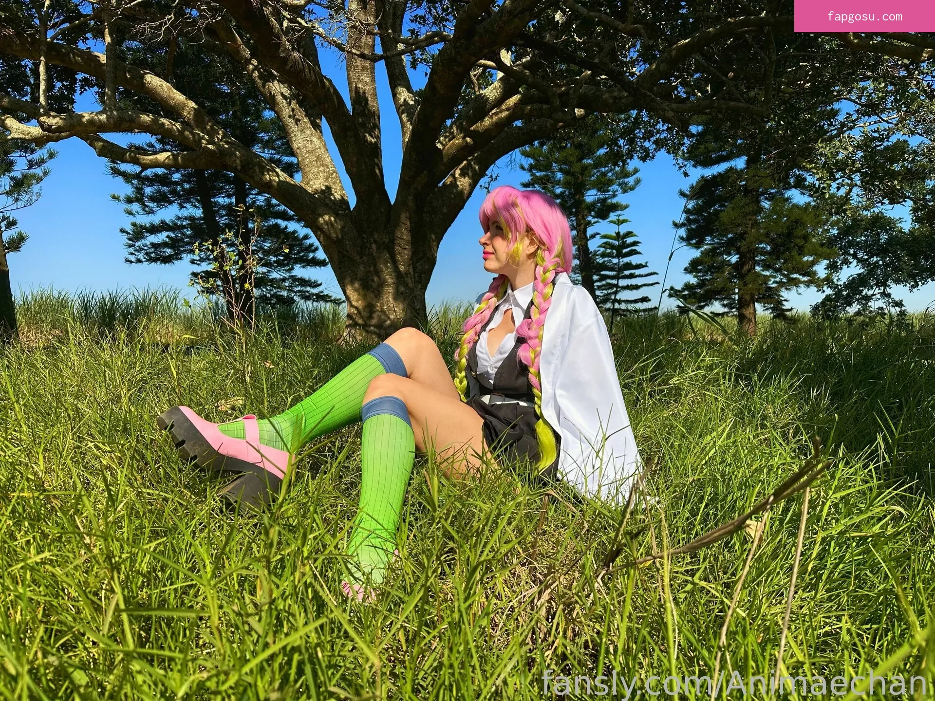 Animaechan