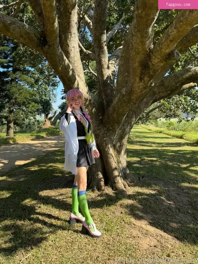 Animaechan