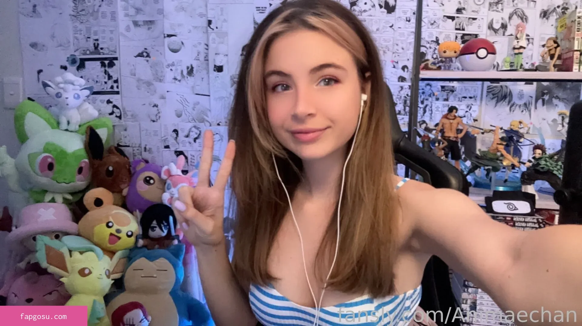 Animaechan