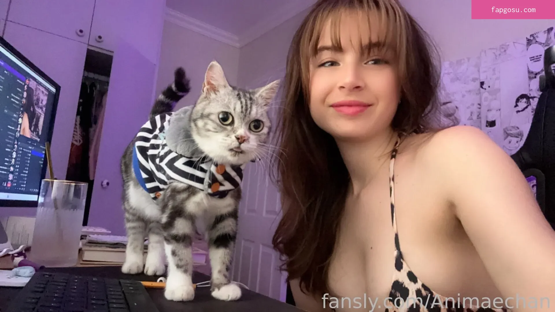 Animaechan