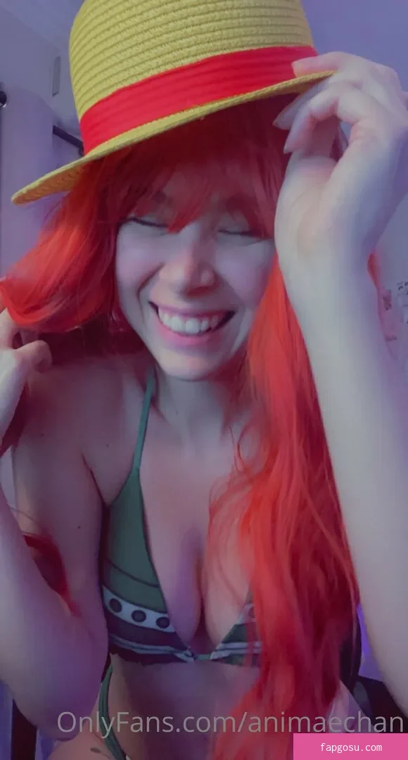 Animaechan