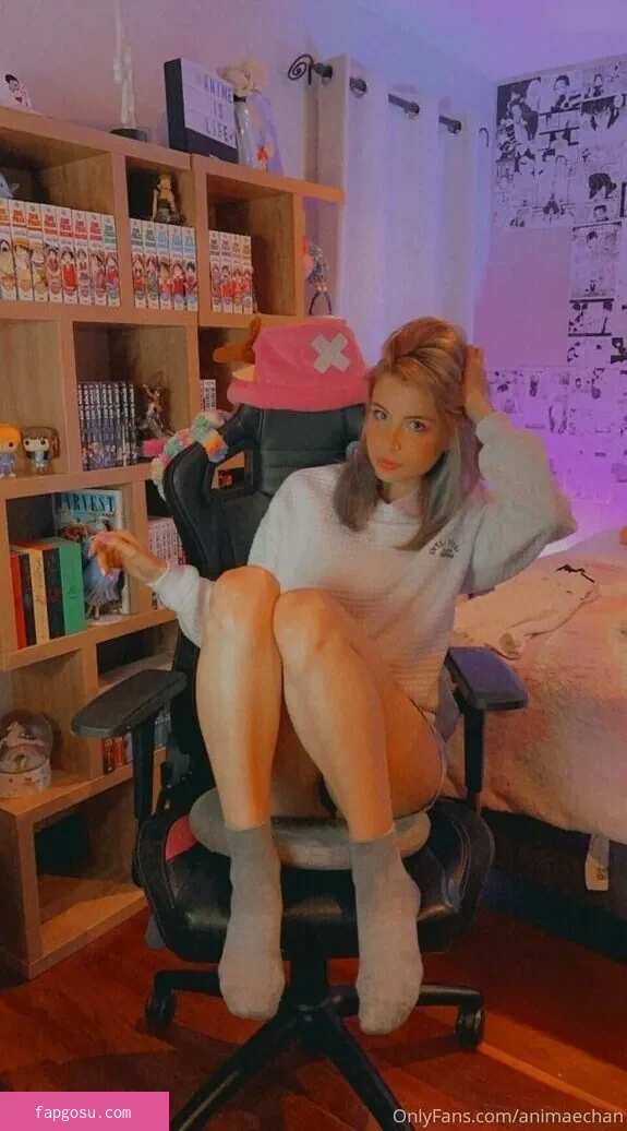 Animaechan