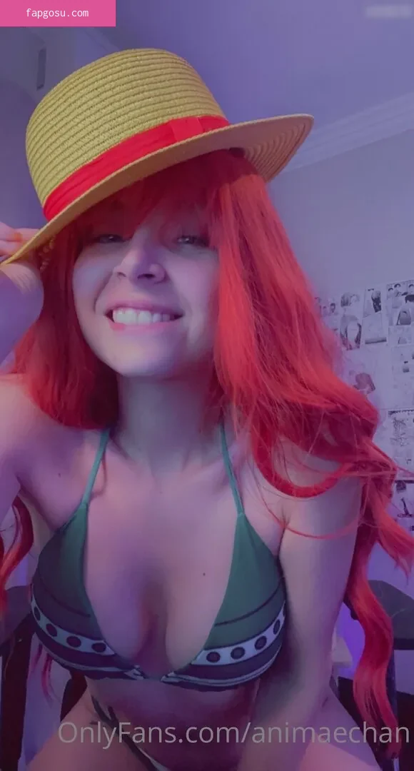 Animaechan