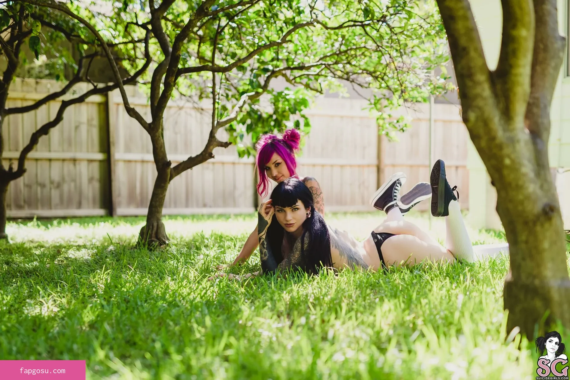 arachnie