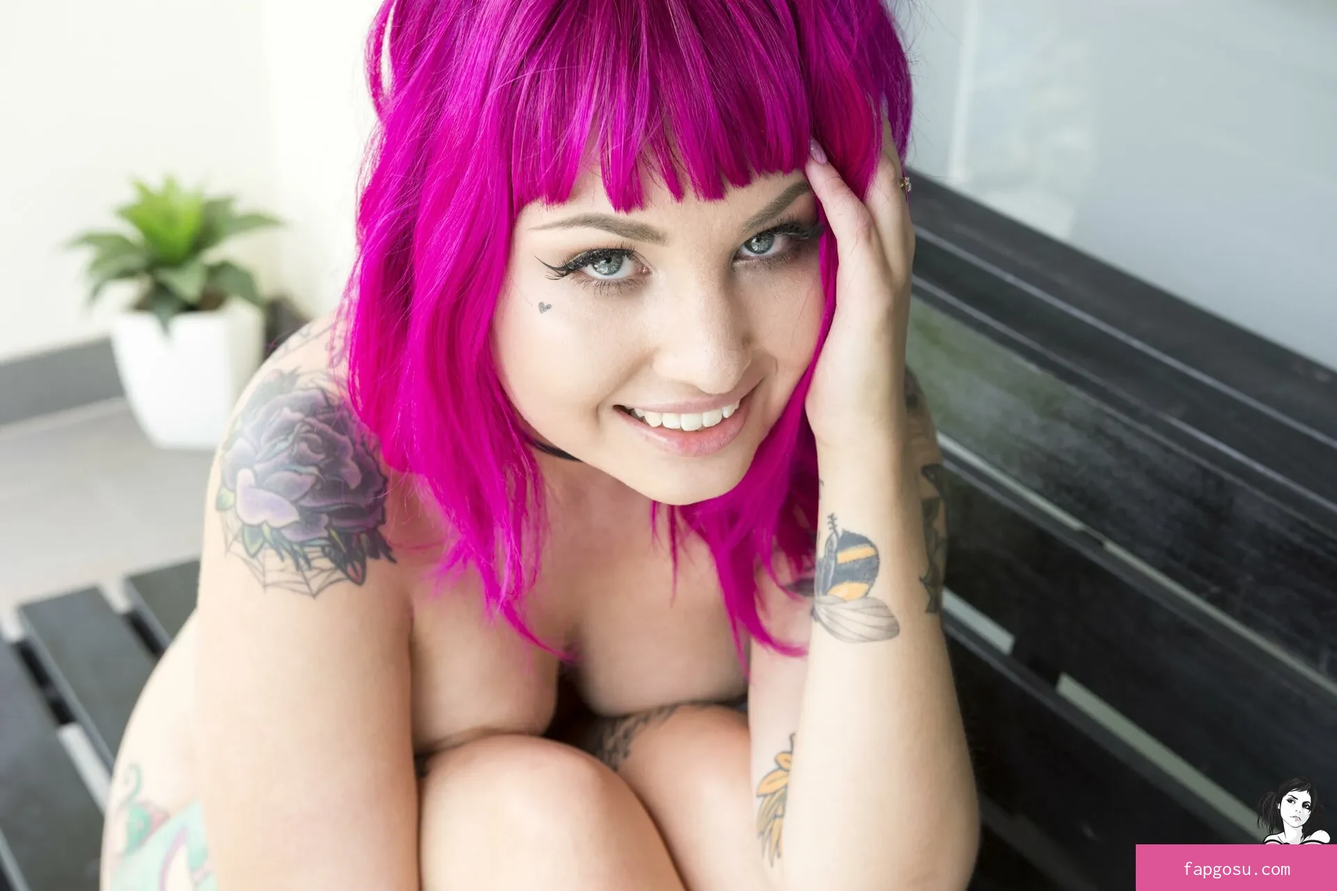 arachnie