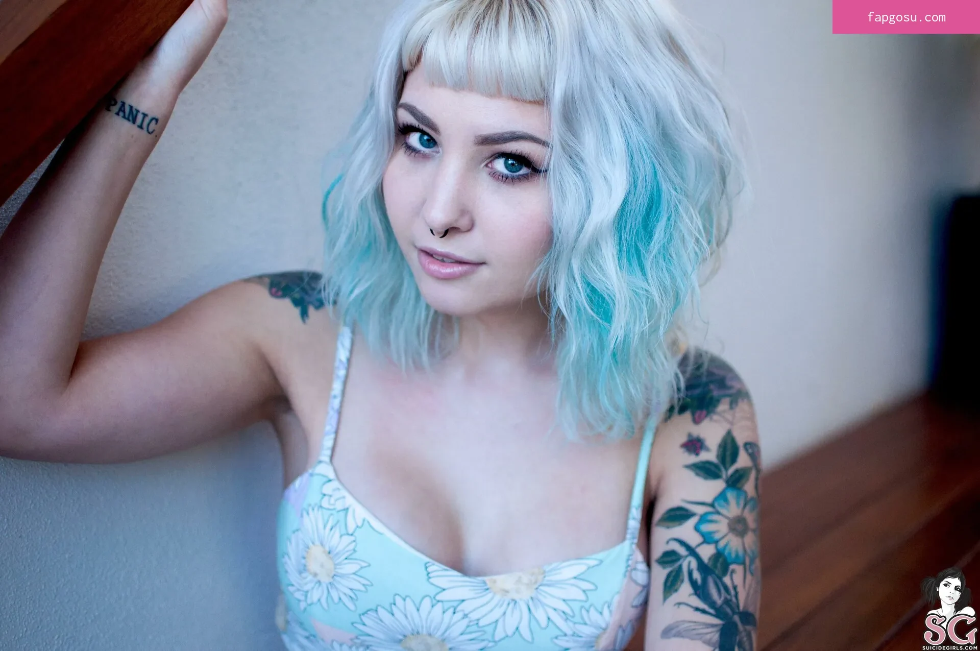 arachnie