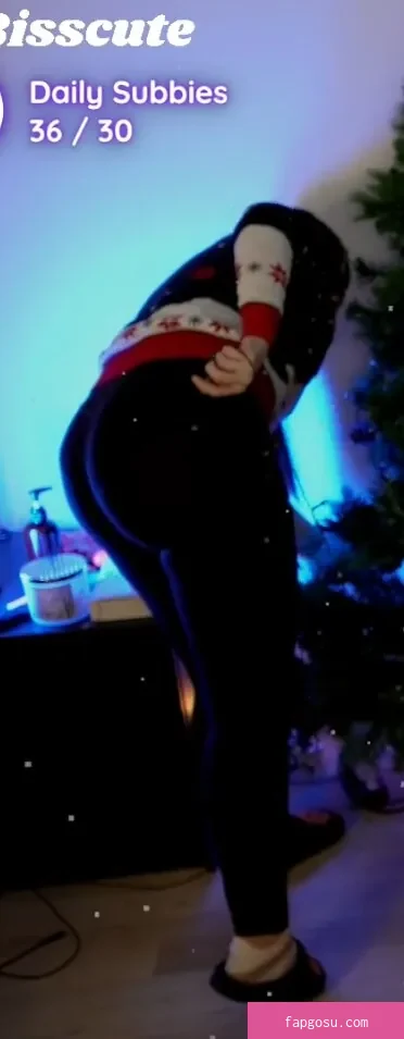 Bisscute