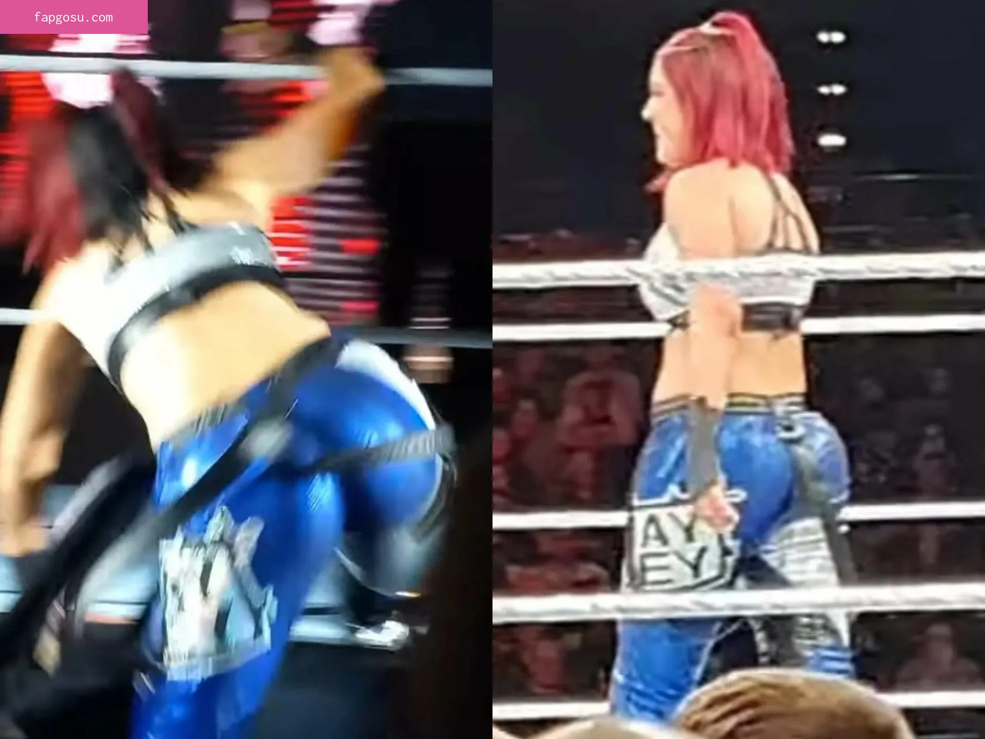 Bayley - Photo #420