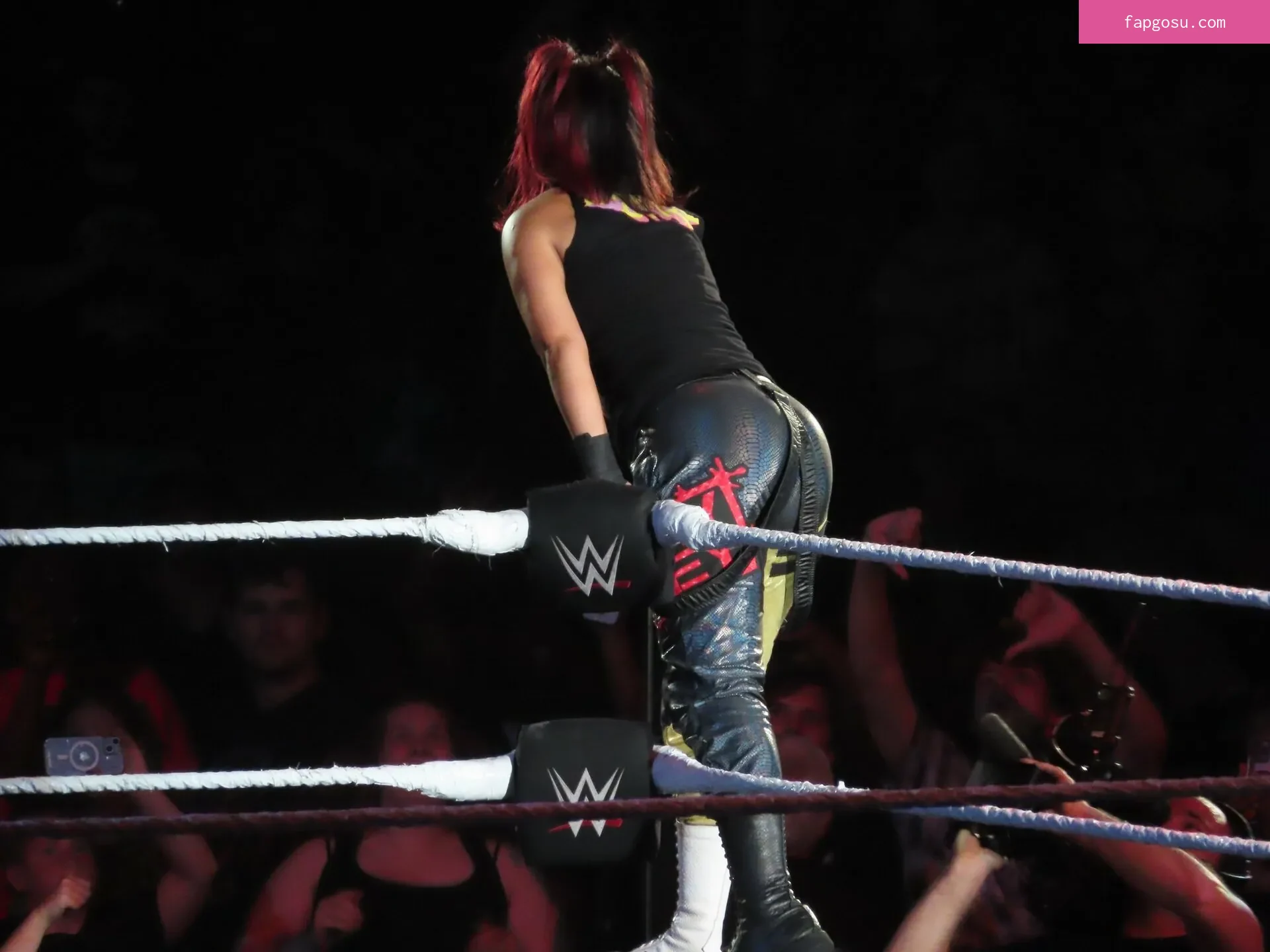 Bayley