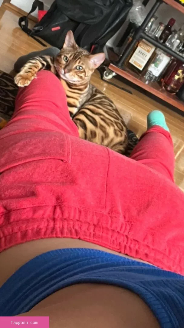 Bayley