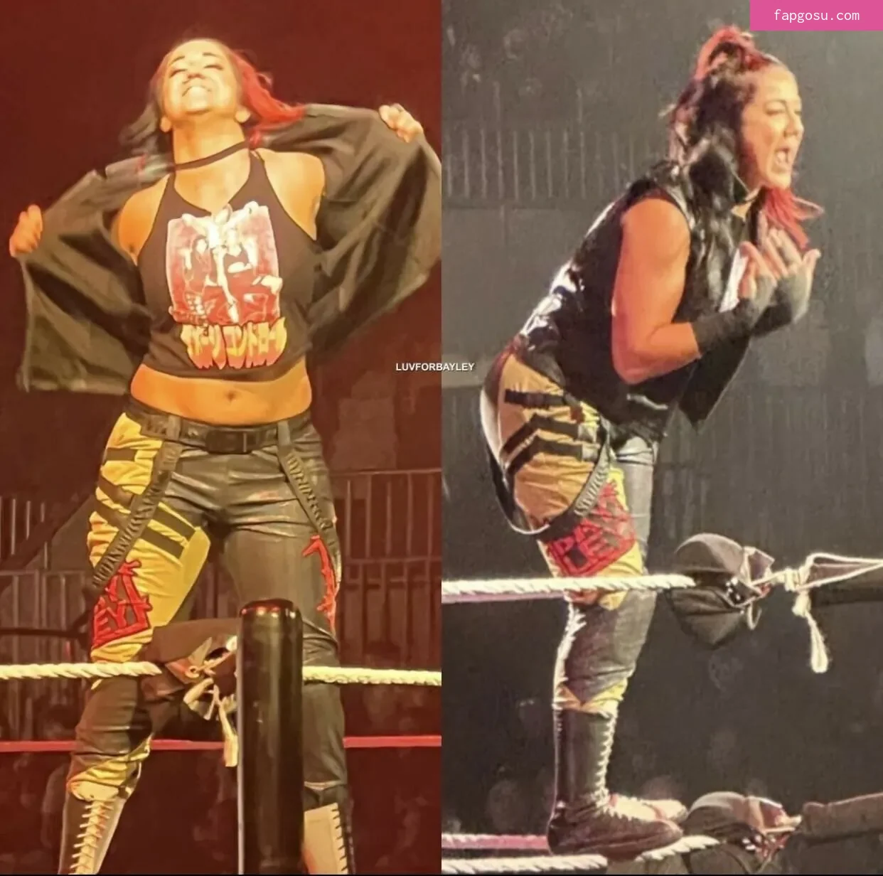 Bayley - Photo #624