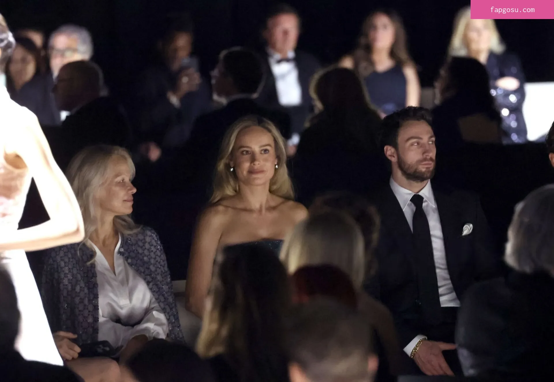 Brie Larson - Photo #1846