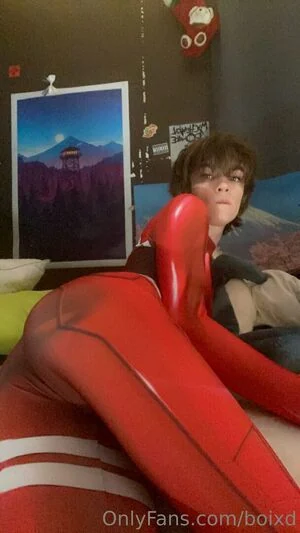 boixd content
