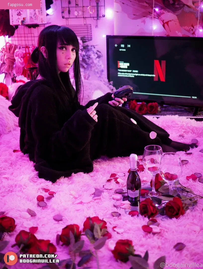 Boogainvillea