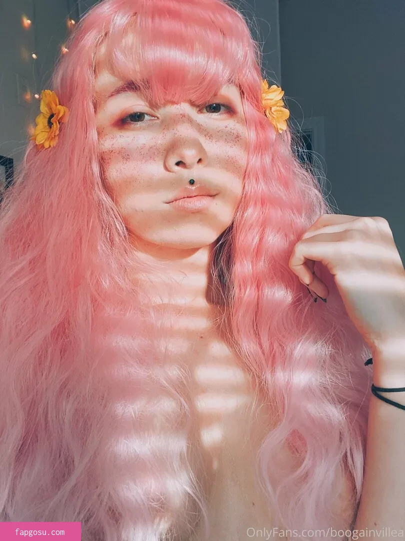 Boogainvillea