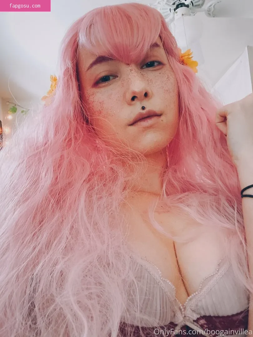 Boogainvillea