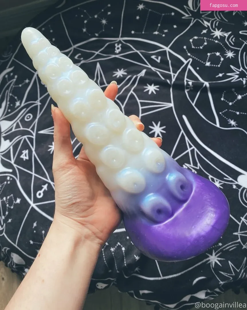 Boogainvillea