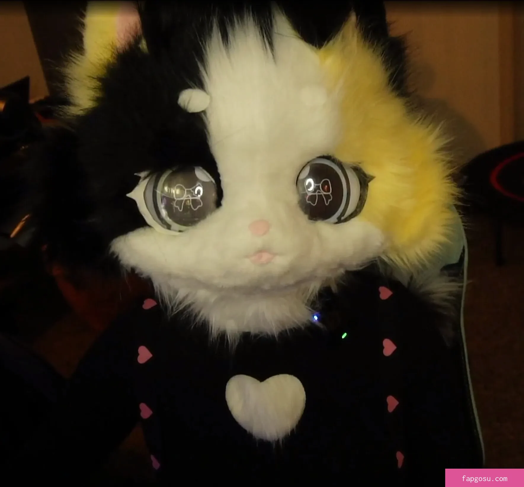 CottontailVA