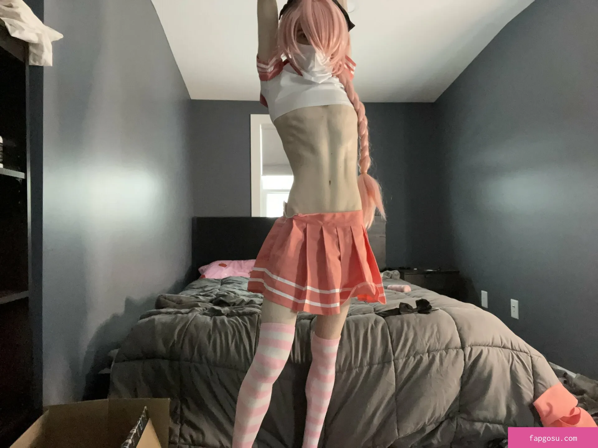 Catboiaoi