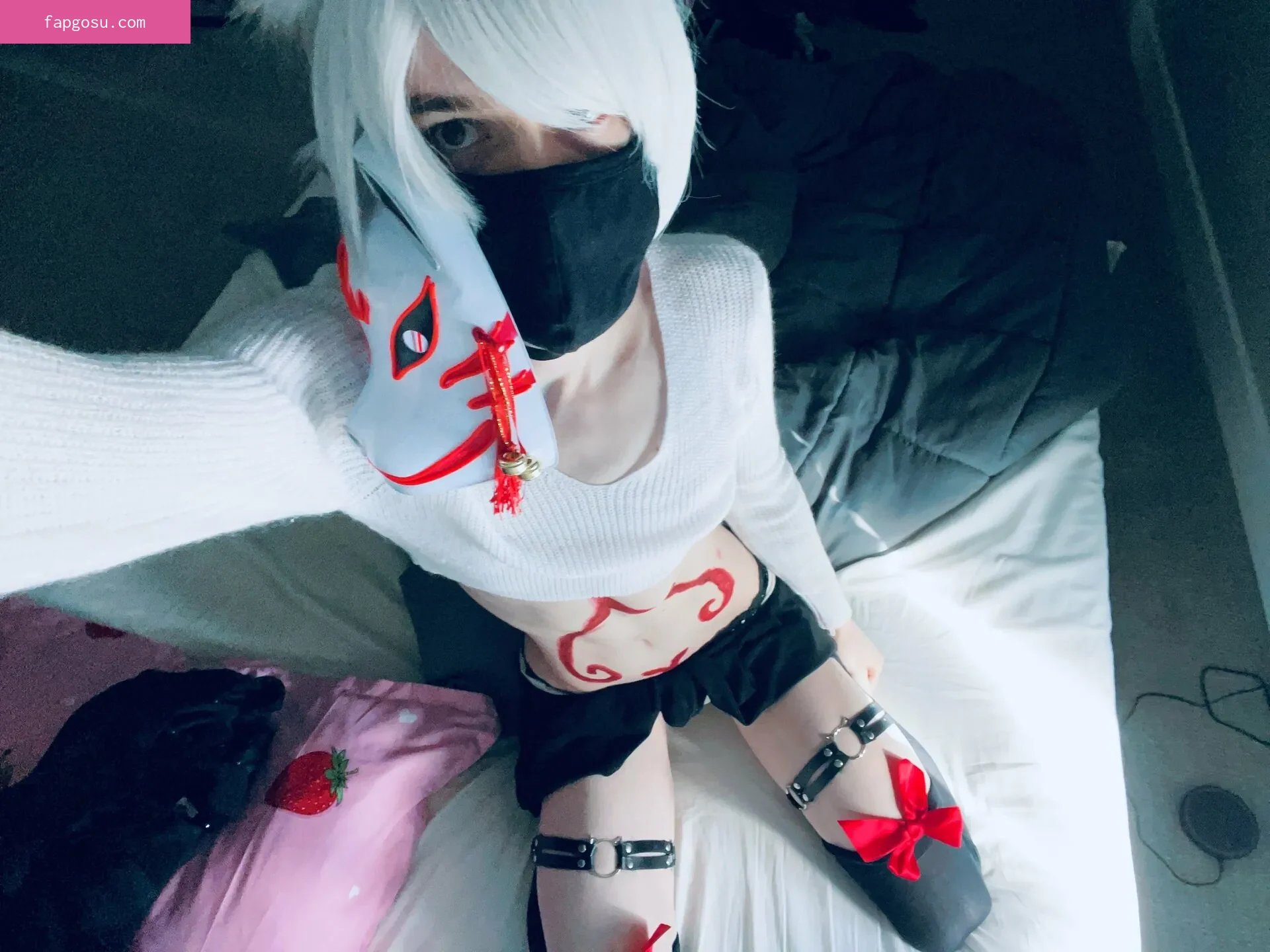 Catboiaoi