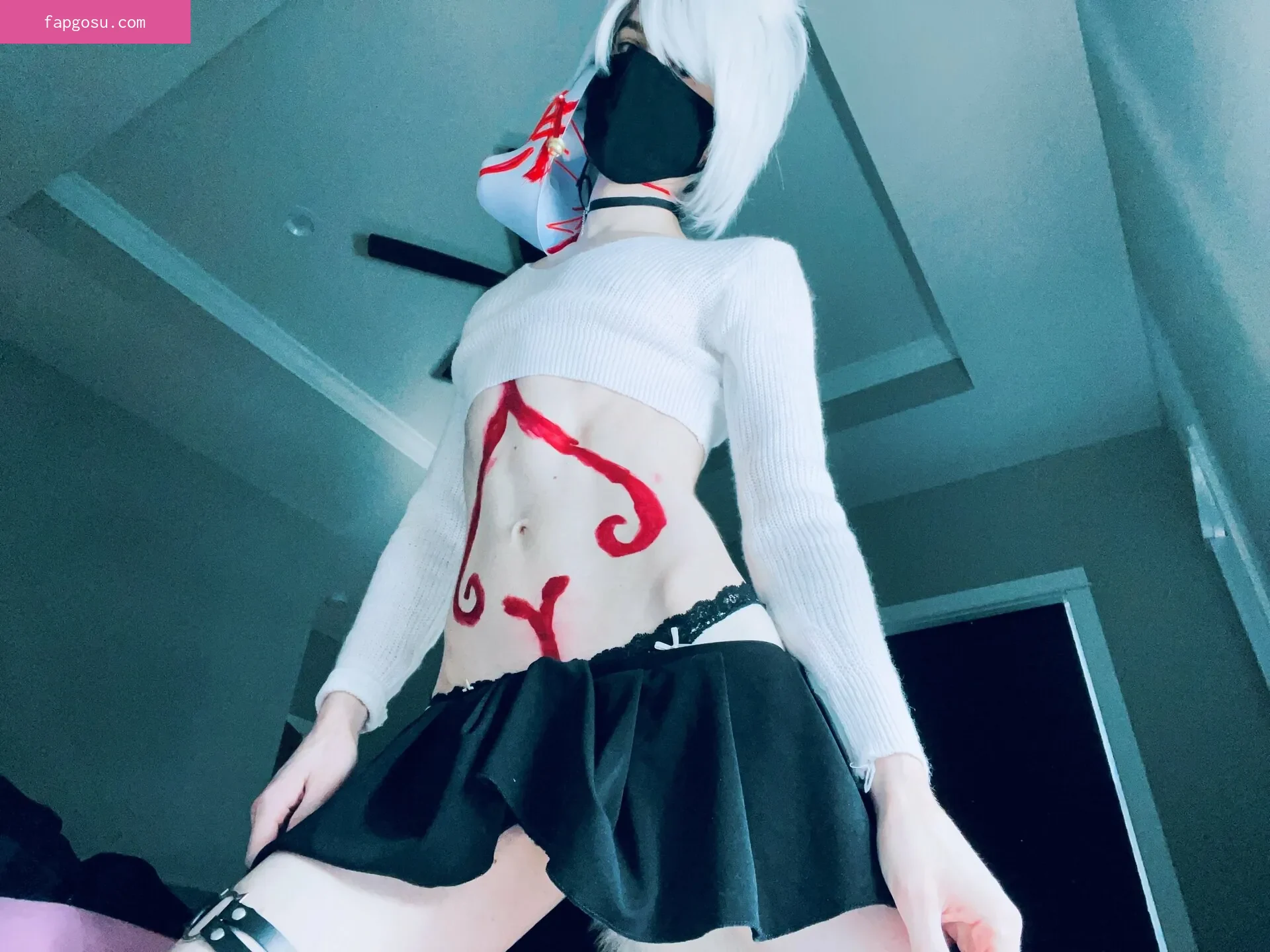Catboiaoi