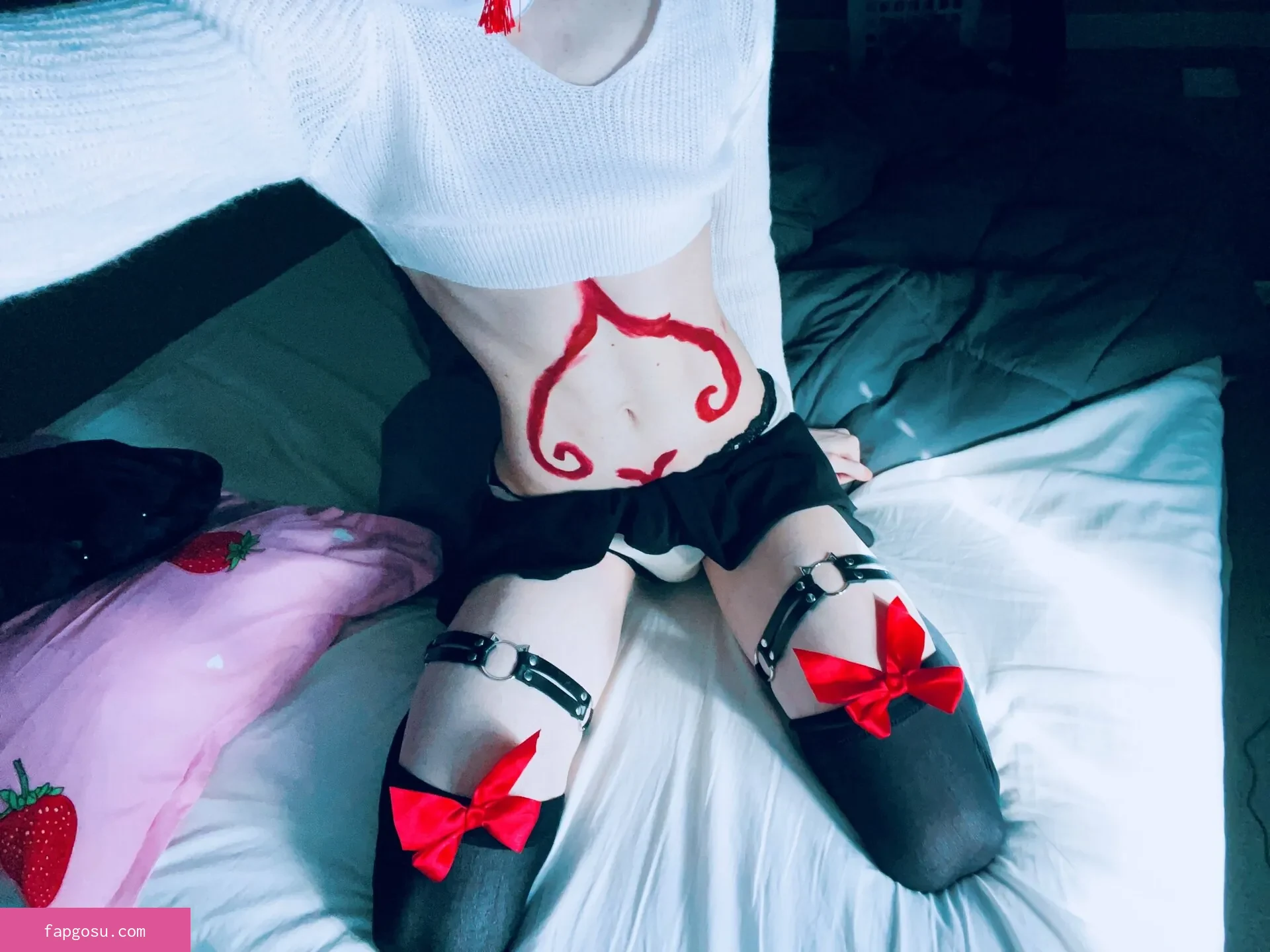 Catboiaoi